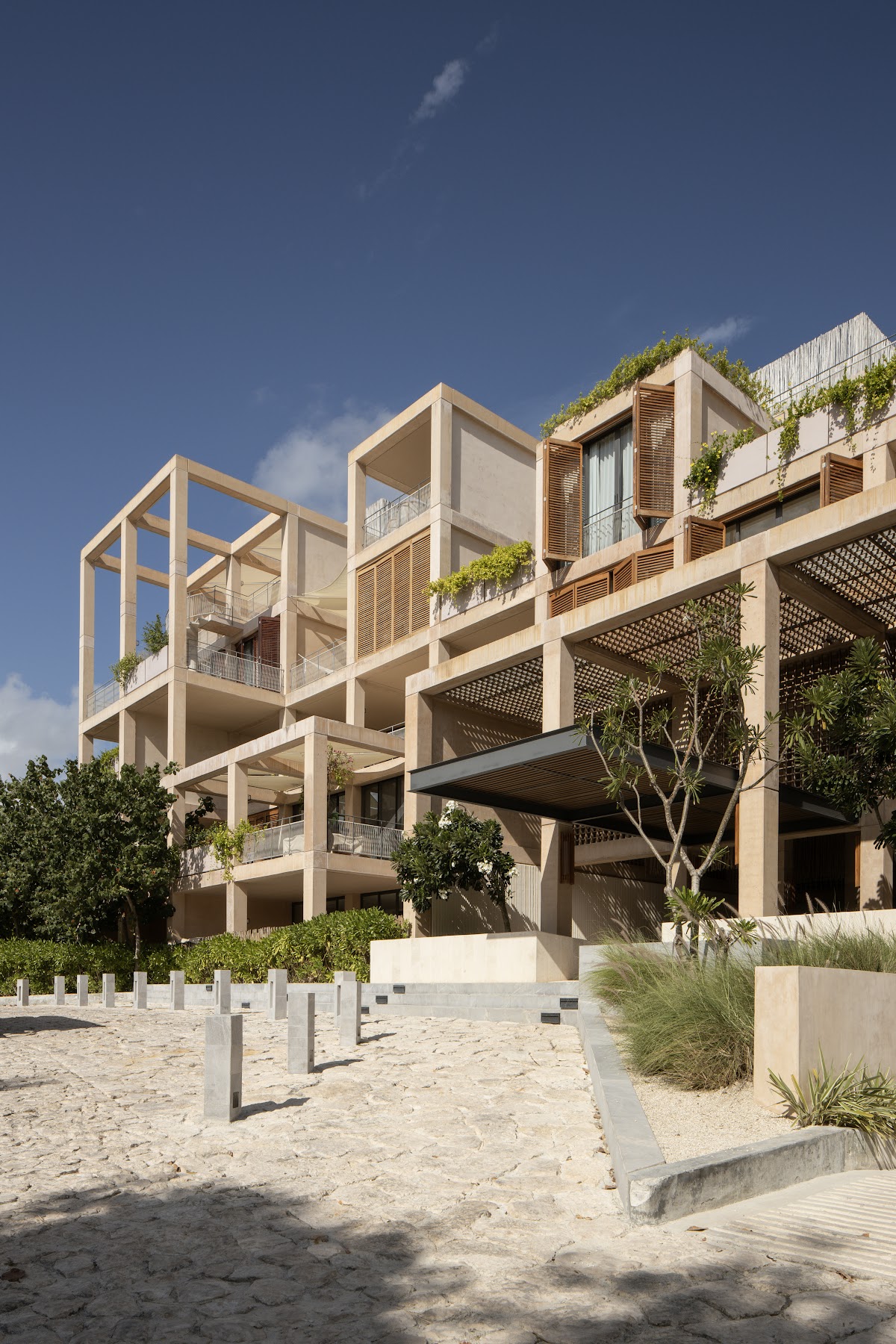 The Village Resort & Residences gallery 7