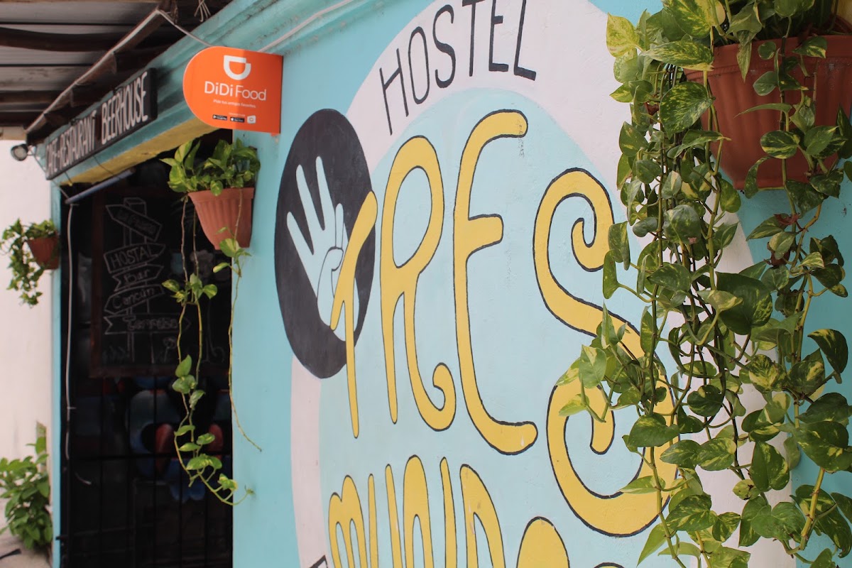 Tres Mundos Hostel & Beerhouse gallery 10