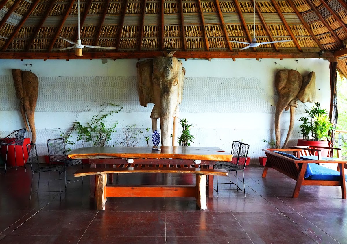 Tribu Glamping & Surf gallery 10