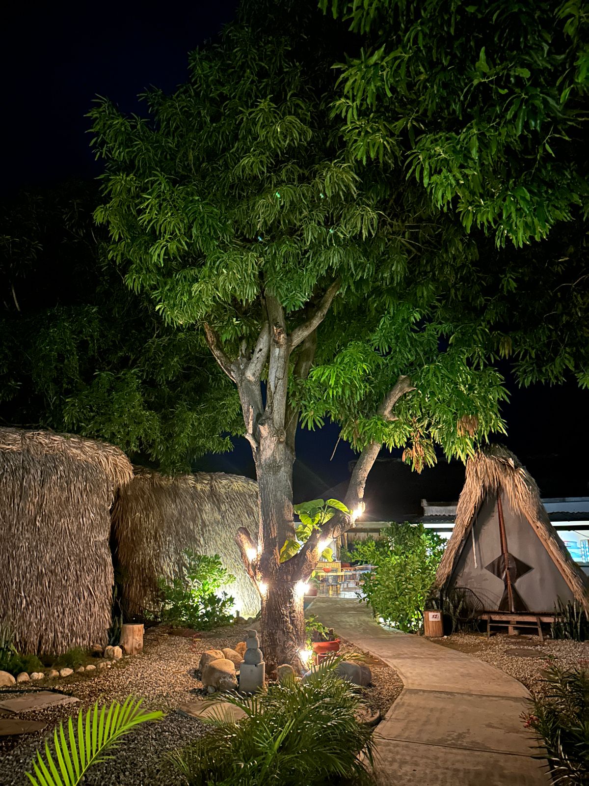 Tribu Glamping & Surf gallery 9