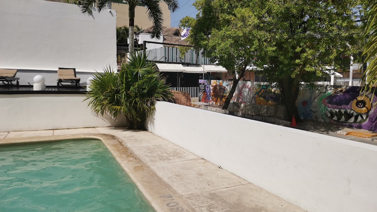 Tropical Casa Blanca Youth & Chic Hotel gallery 3
