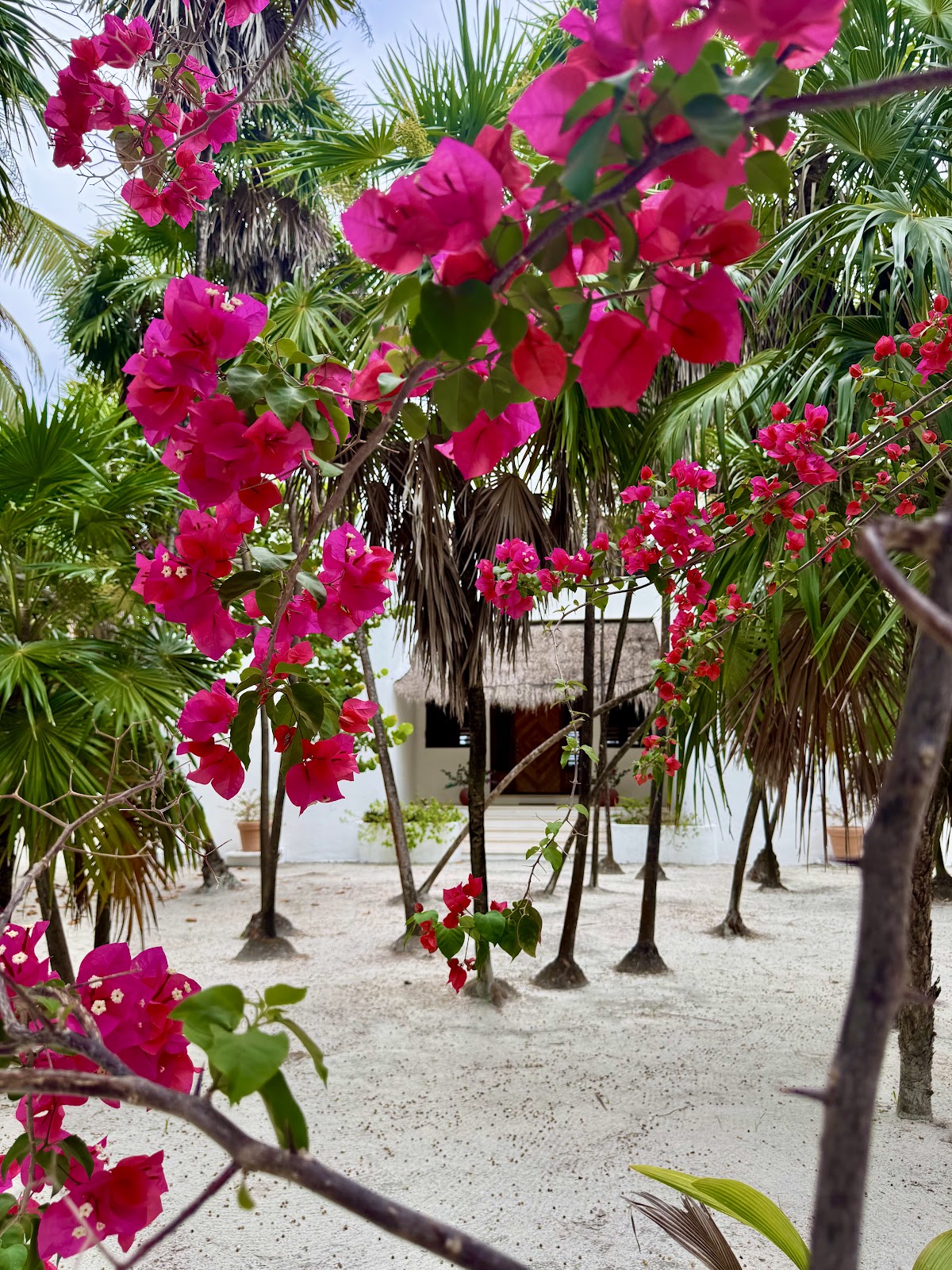 Villa Casona Palms gallery 7