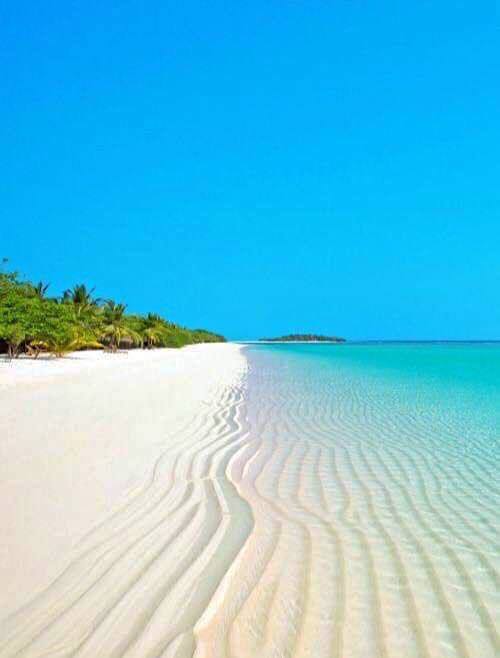 Villa Costa Maya Mahahual Beachfront Apartments & Eco Marine Conservation Hub gallery 4