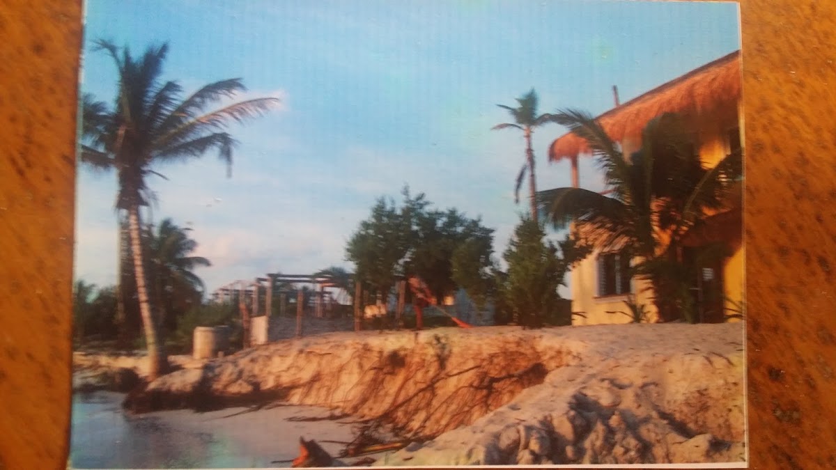 Villa Costa Maya Mahahual Beachfront Apartments & Eco Marine Conservation Hub gallery 5