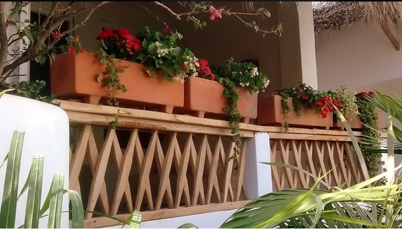 Villa María Puerto Escondido gallery 7