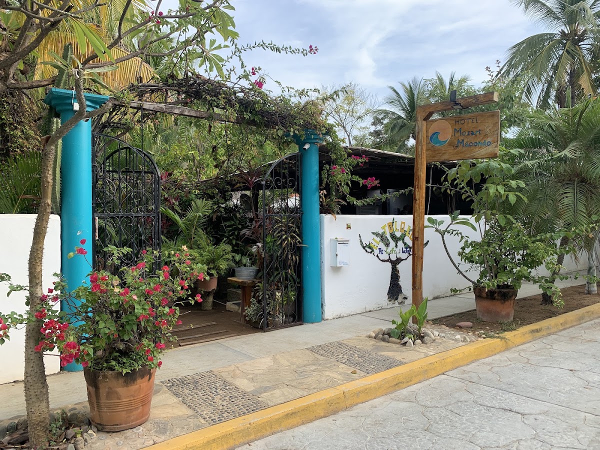 Villa Mozart y Macondo gallery 4