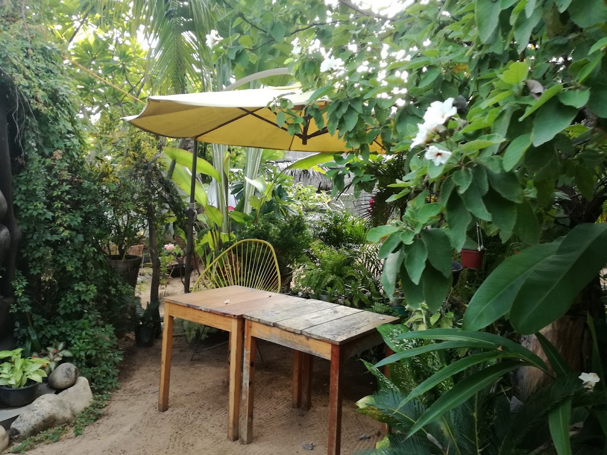 Villa Mozart y Macondo gallery 7