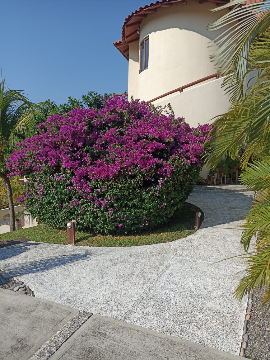Villa Sol y Luna "La Ropa" Beach gallery 10