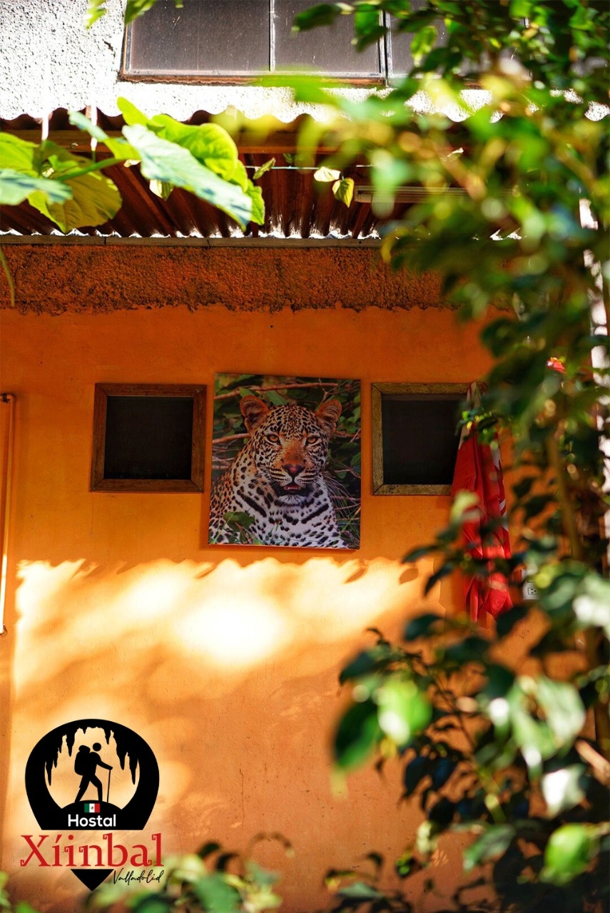 XÍINBAL Hostal Valladolid gallery 8