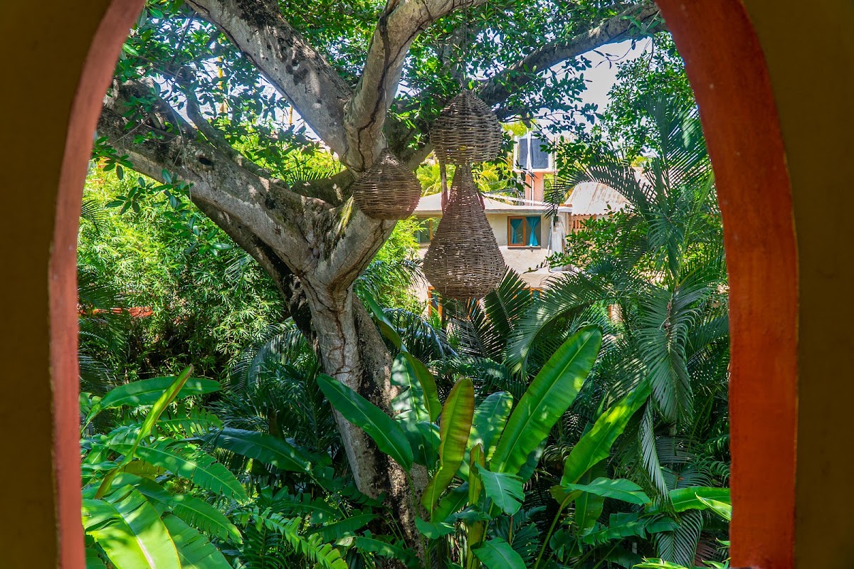 Xocotla gallery 10