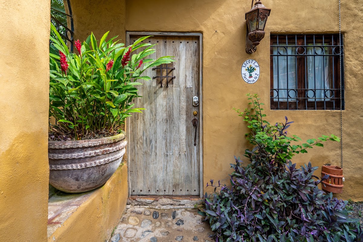 Xocotla gallery 9