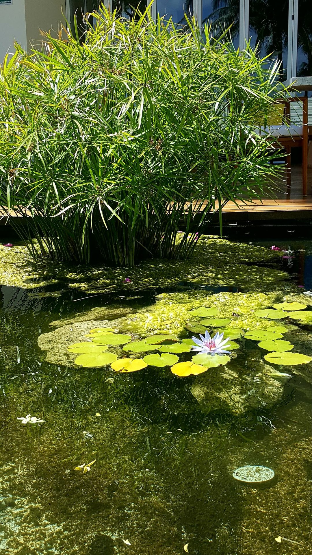 Zen Grand at Grand Velas Riviera Maya gallery 9