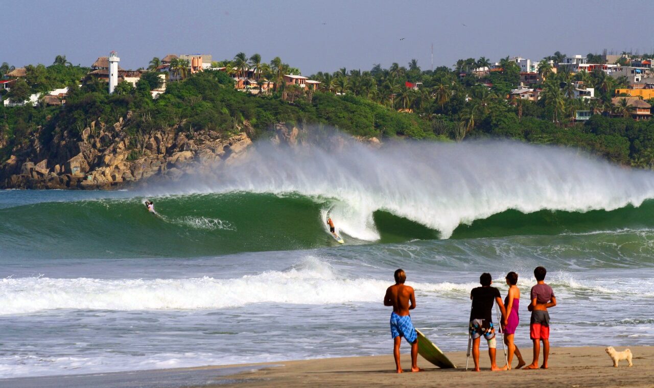 Hotel Papaya Surf gallery 12