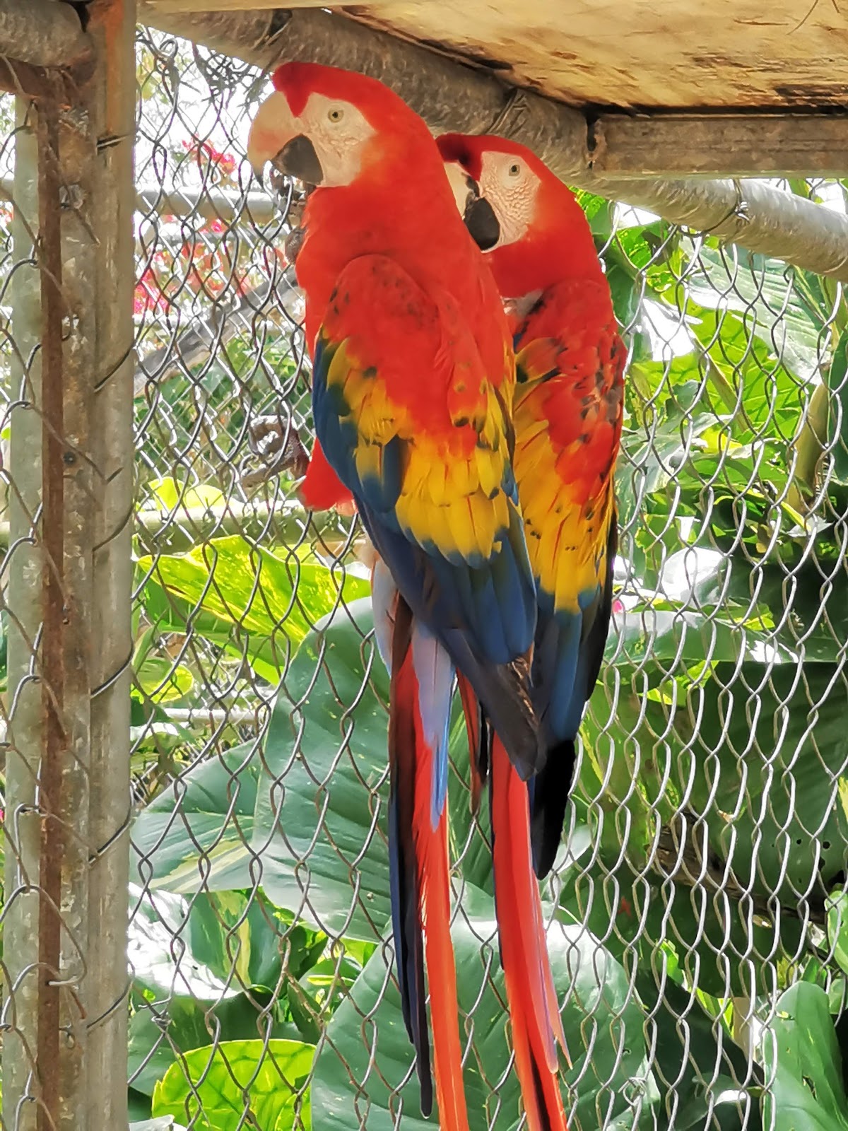 Zoologico Valladolid gallery 4