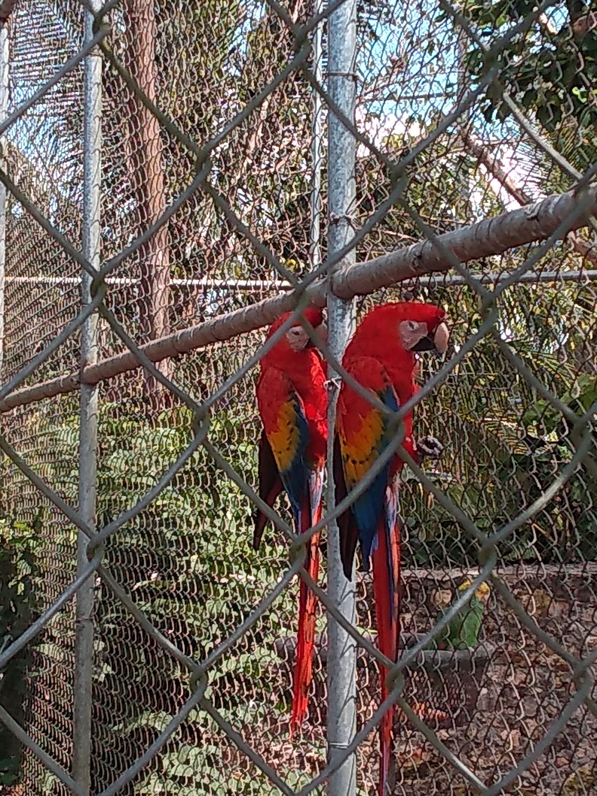 Zoologico Valladolid gallery 6