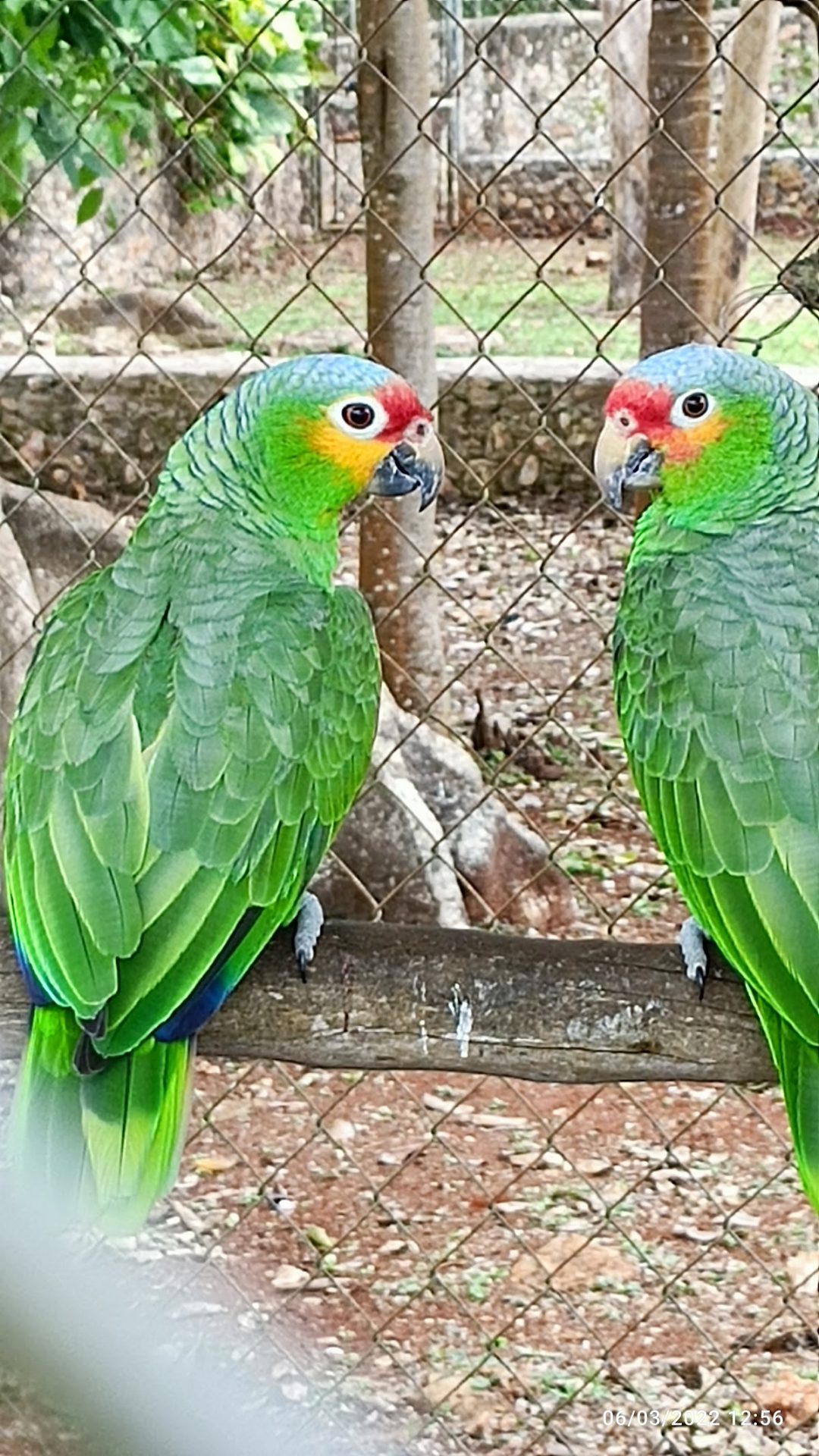 Zoologico Valladolid gallery 7