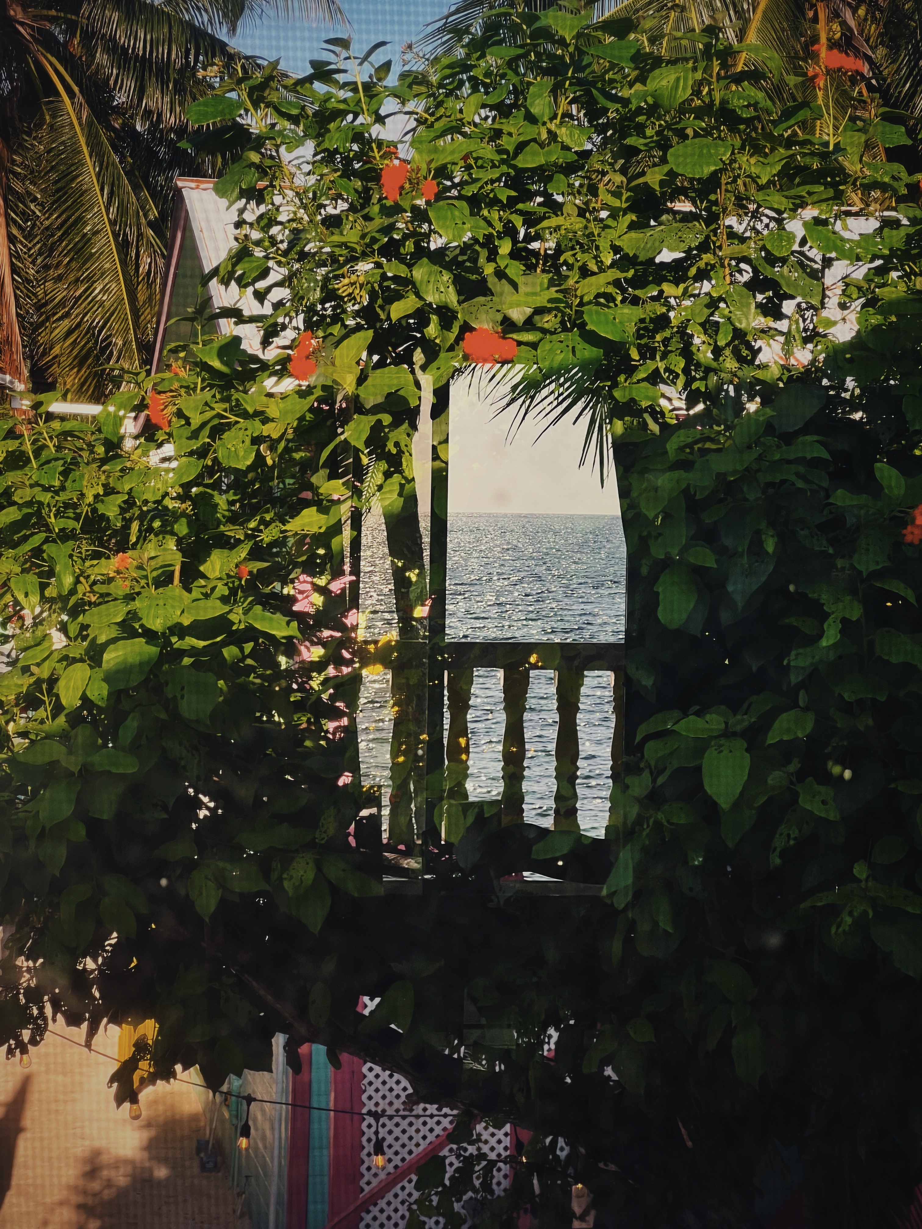 Barefoot Beach Hotel gallery 33